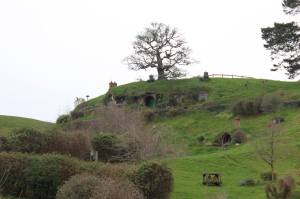 1239208_10151532883326946_1095010256_o